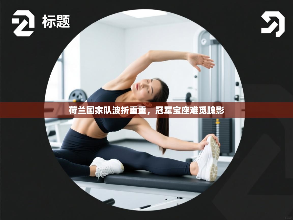 荷兰国家队波折重重,冠军宝座难觅踪影 第1张